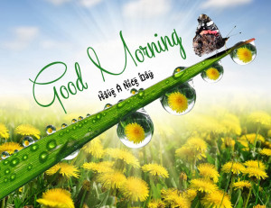 ... good morning images good morning pictures good morning sms messages
