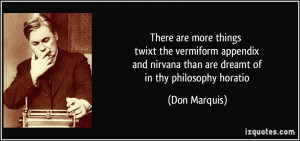 there are more things twixt the vermiform appendix and nirvana than ...