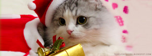 Christmas Cat - Animal FB Cover
