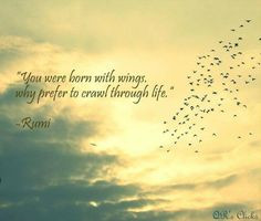 quote by rumi qirat rais you were born with wings more quotes 2 quotes ...