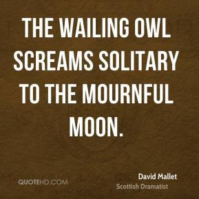 David Mallet - The wailing owl Screams solitary to the mournful moon.