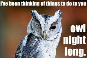 Night Owl Sayings http://jenrarey.blogspot.com/2012_01_08_archive.html