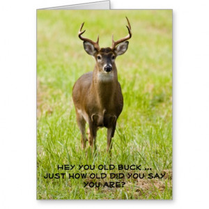 hunting_funny_whitetail_buck_animal_happy_birthday_card ...