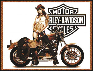 sexy harley davidson chick uploaded by Harleymike on Tuesday, January ...