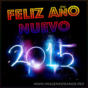 Feliz A o Nuevo 2015 Bonitos fuegos artificiales