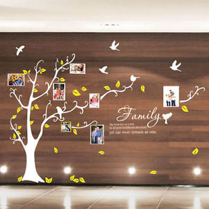 ... -Multi-Photo-Frame-Tree-Bird-Wall-Quote-Stickers-Wall-Decals-Wall-Art