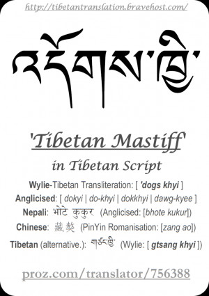 TIBETAN-MASTIFF-Tibetan-Script-Design-by-Tibetalia-Translator-Mike ...