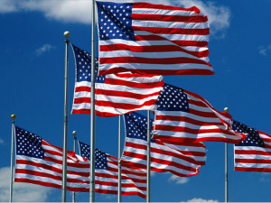 ... to pass a budget amendment to make a substantial U.S. flag purchase