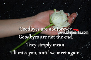 Home » Quotes » I’ll Miss You, Until We Meet Again.