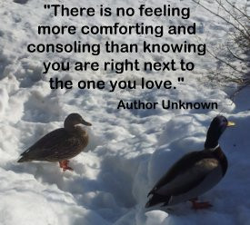 More Quotes Pictures Under: Mistake Quotes