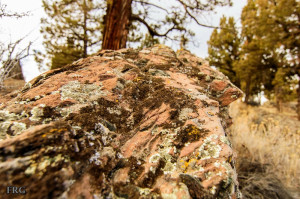 Re: Picture A Day (800 pixels or less!)