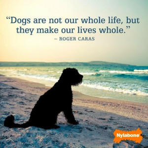 Dogs are not our whole life, but they make our lives whole - Roger ...