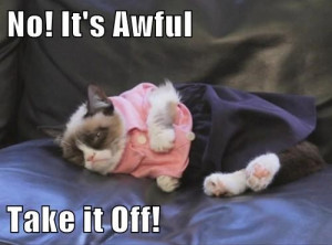 Tard The Grumpy Cat Quotes