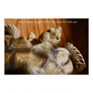 Turtle Quotes Posters