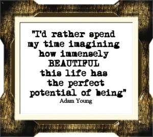 Adam Young quote