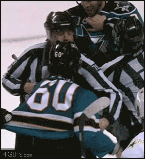 Hockey fight referee
