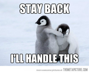 Funny photos funny baby penguins cute fight