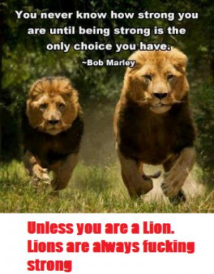 Inspirational quotes dont apply to lions