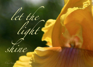 Iris quote yellow garden flower Inspirational Quote giclee Photography ...