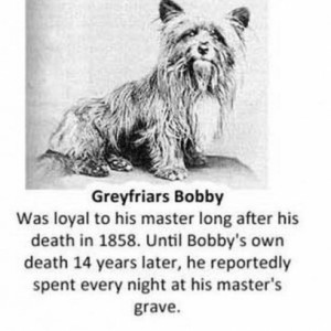 Greyfriars Bobby Spent The Remaining 14 Years Of Its Life At his ...