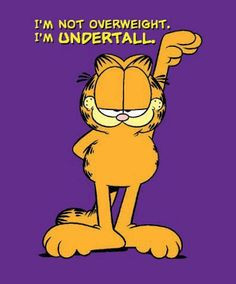 ... funny quotes quote garfield lol funny quote funny quotes humor