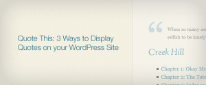 Quote This: 3 Ways to Display Quotes on your WordPress Site