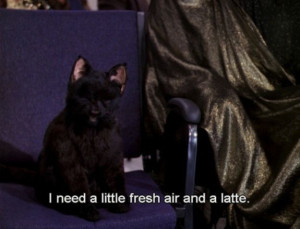 ... Salem The Cat from Sabrina the Teenage Witch. Loved this show, loved