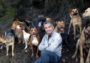 The Work and Life of Cesar Millan