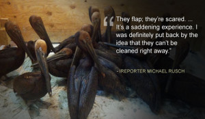 Gulf journals: Bird's eye view of an oil disaster »