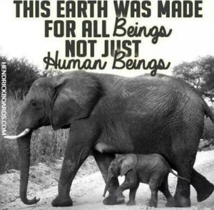 Animal Rights Quotes Animal Rights Quotes 2