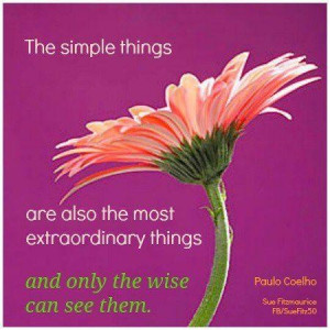 The simple things picture quotes image sayings