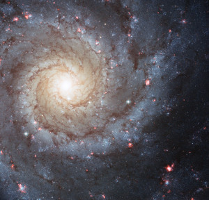 http://arstechnica.com/science/news/2010/04/hubble-turns-20-a ...