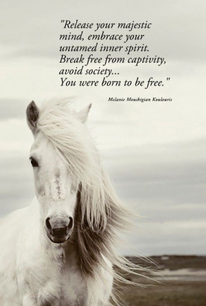 release your majestic mind embrace your untamed spirit break free from ...