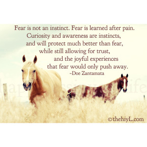 fear is not an instinct fear is learned after pain curiosity and ...