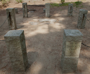 lots of people still go to the woods that is to walden pond but few it ...