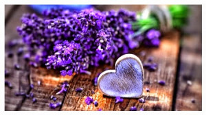 Alzheimer's Patients Express Love Through Cuddle Therapy