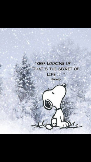 The secret of life... Keep looking up!