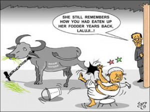 Political Musings on Verdict of Bihar Electorate