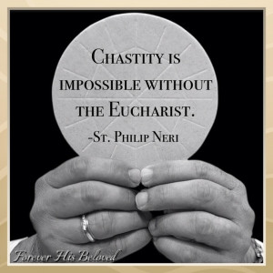... Catholic And Chastity, Fhbministri Chastity, Chastity Quotes, Felipe