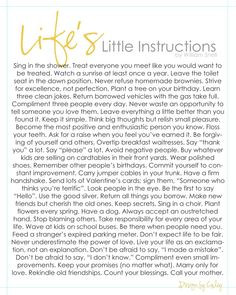 Life's little instructions More