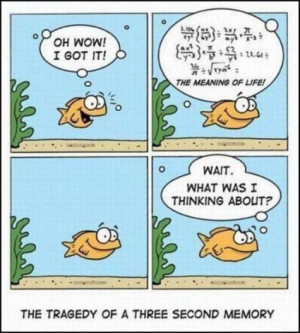 Funny goldfish quotes