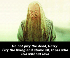 Albus Dumbledore Very Smart...