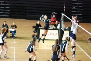 sophomore outside hitter volleyball quotes for outside hitters