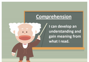 Reading Comprehension: The Basics