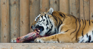 Funny Quotes Jay Z Eminem Renegade 1122 X 1000 465 Kb Jpeg