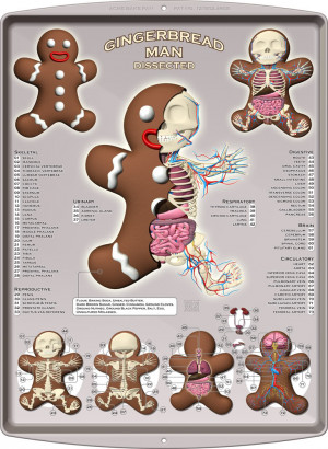 GingerbreadManDissected.jpg