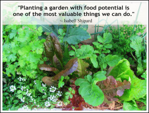Planting a garden with food potential is one of the most valuable ...