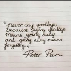 never say goodbye