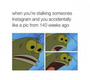 Stalking Instagram