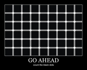 Funny photos funny black dots optical illusion